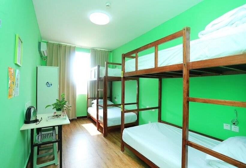 공동 객실, Alley Youth Hostel