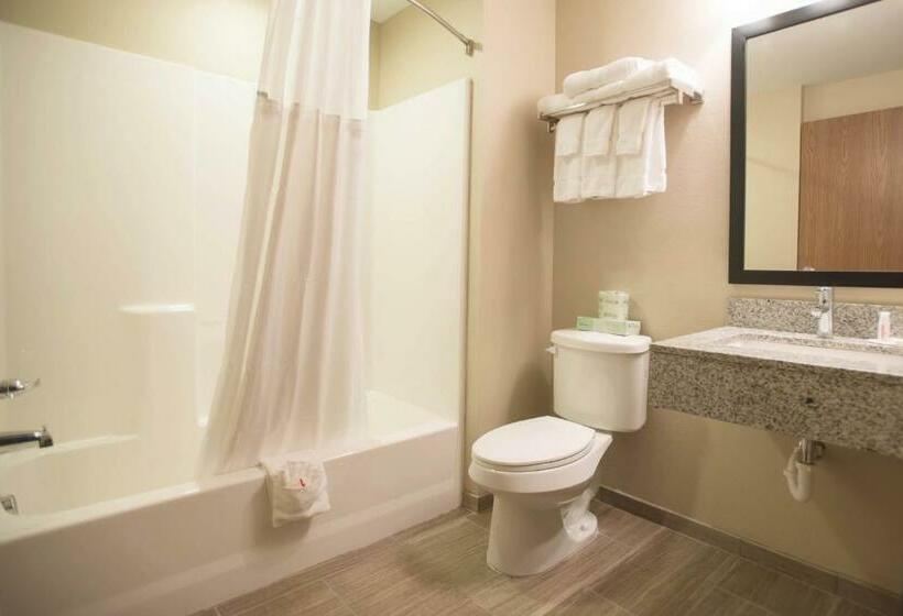 带大床的标准间, Quality Inn & Suites