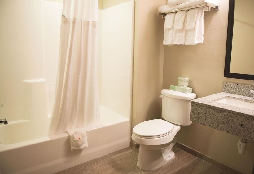 带大床的套房, Quality Inn & Suites
