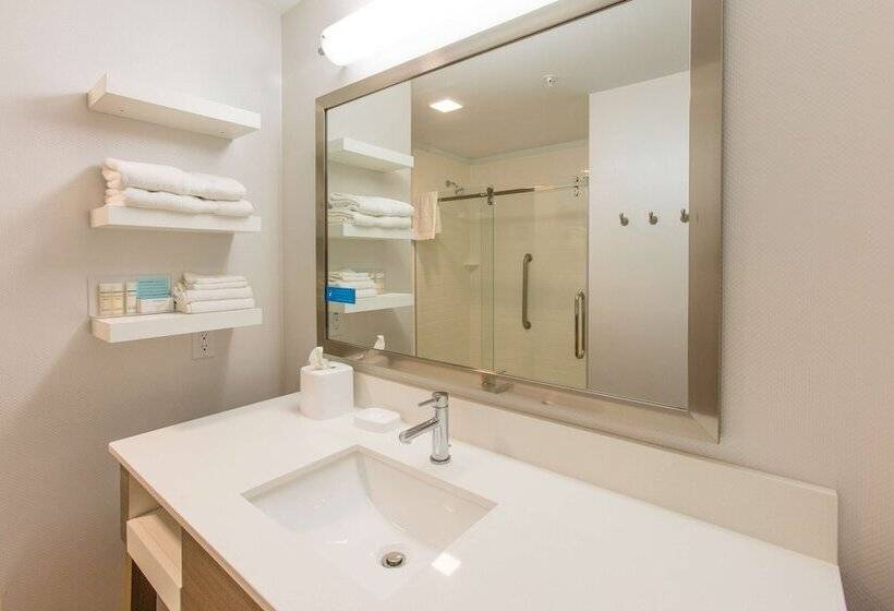 장애인을 위한 더블 침대 스탠다드 룸, Hampton Inn Palatka