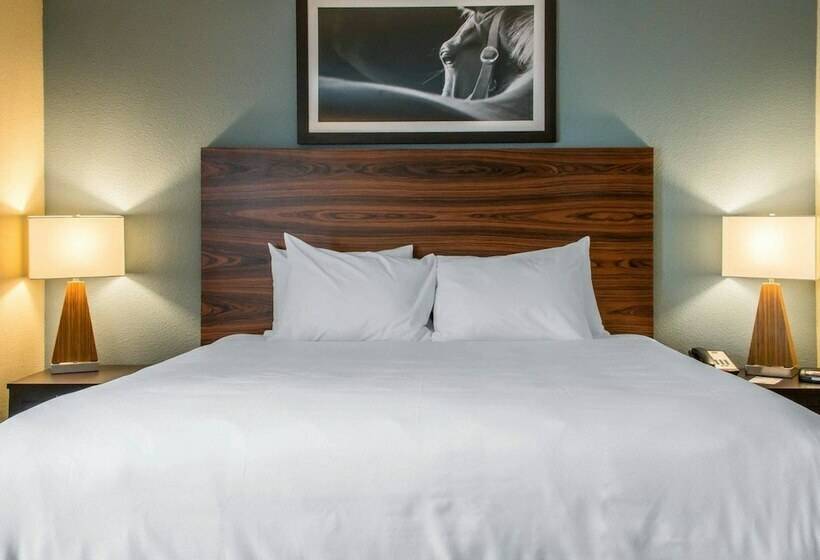 Люкс, Mainstay Suites Cotulla