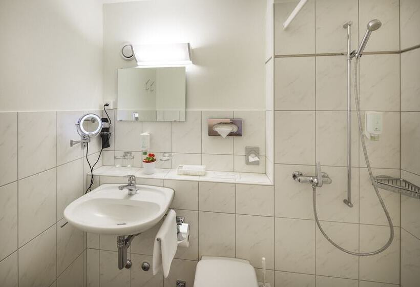 Номер Стандарт Индивидуальный, Vitalboutique Hotel Zurzacherhof
