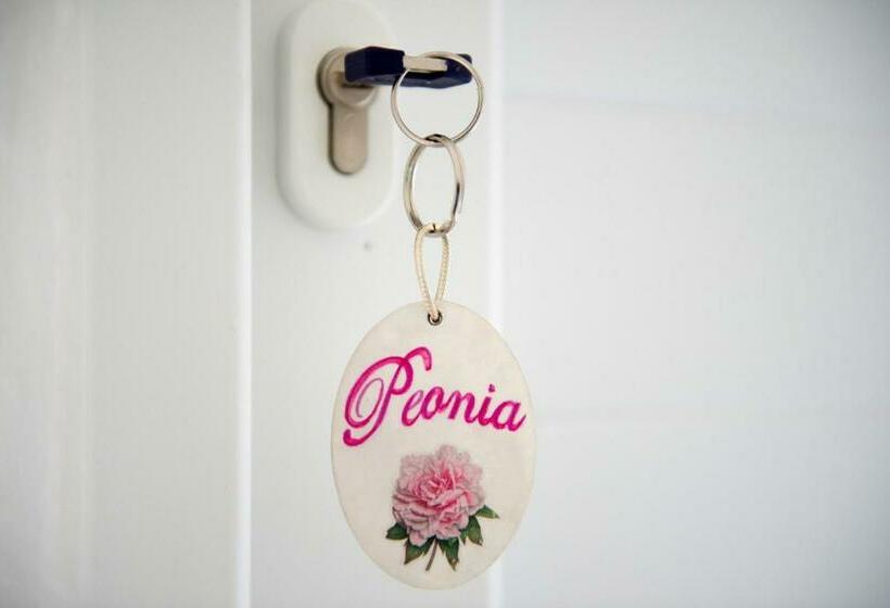 Family Suite, B&b Corte Dell' Immacolata
