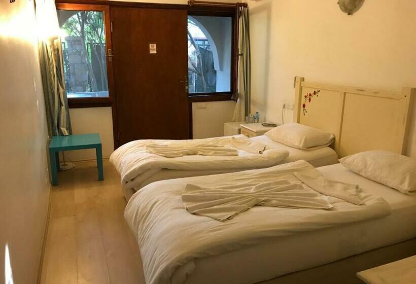 Quarto Estandar, Kano