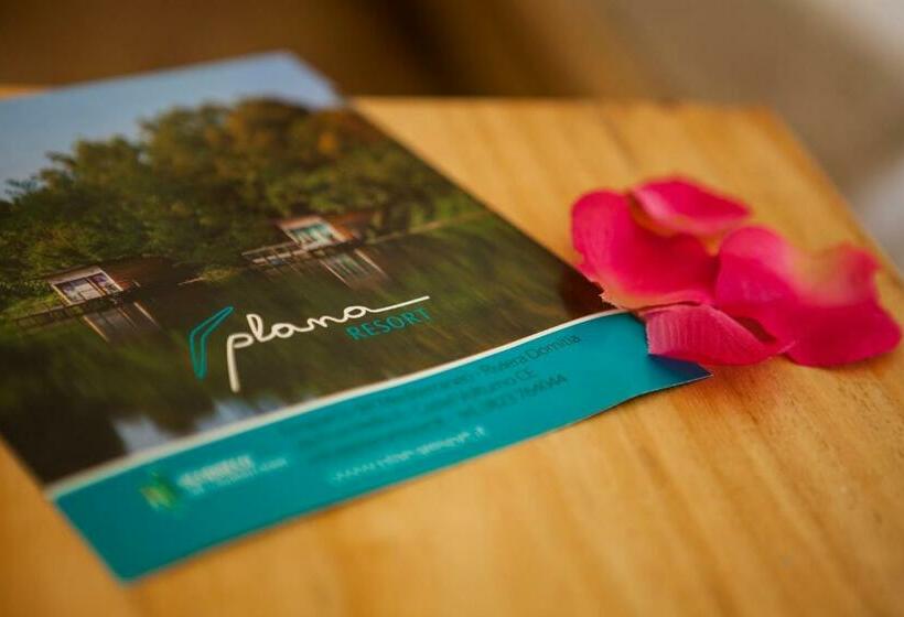 اتاق استاندارد, Plana Resort & Spa
