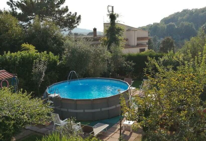 سوییت سوپریور, Green Paradise Affittacamere