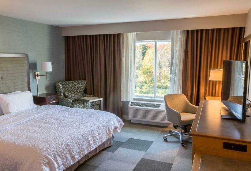 Номер Стандарт Кровать Кинг Адаптированный для Инвалидов, Hampton Inn By Hilton Amesbury