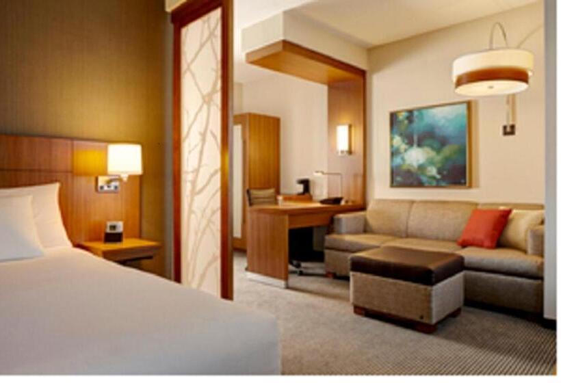 带大床的套房, Hyatt Place Boca Raton