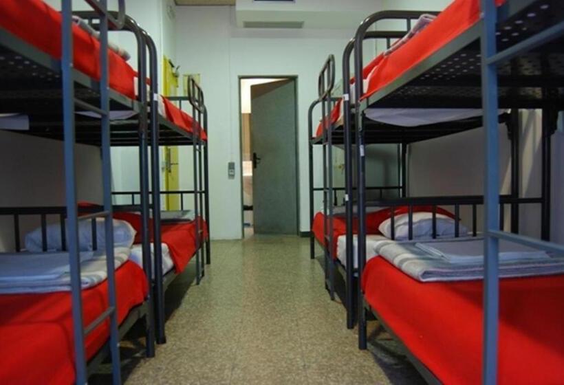 Bett in Mehrbettzimmer mit geteiltem Bad, Ideal Youth Hostel