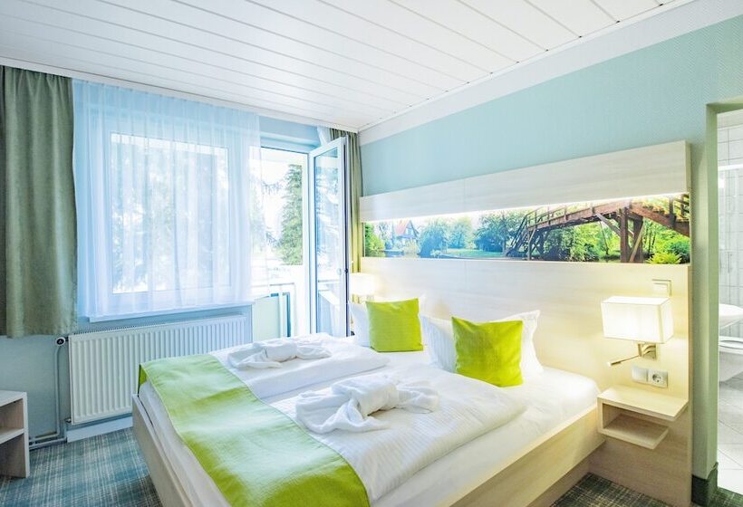 Номер Стандарт с Балконом, Ferien Hotel Spree Neisse