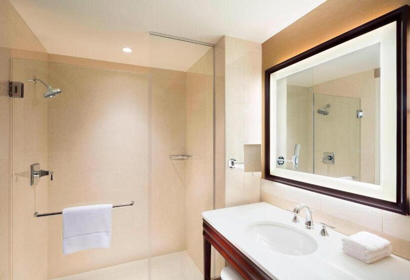 스탠다드 룸 킹사이즈 침대, Sheraton Austin Georgetown Hotel & Conference Center