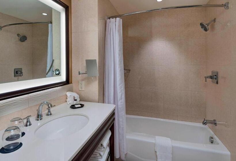 스탠다드 룸, Sheraton Austin Georgetown Hotel & Conference Center