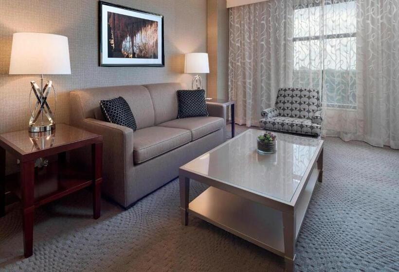 이그제큐티브 스위트 킹침대, Sheraton Austin Georgetown Hotel & Conference Center