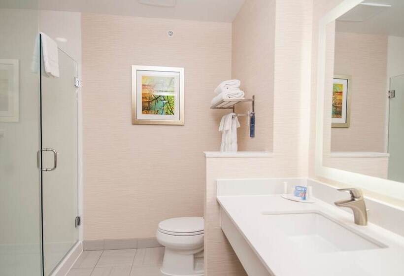 Люкс, Fairfield Inn & Suites By Marriott Dallas Plano North