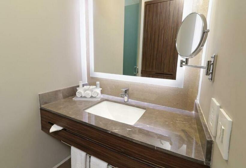 اتاق استاندارد, Holiday Inn Express & Suites Monterrey Valle, An Ihg