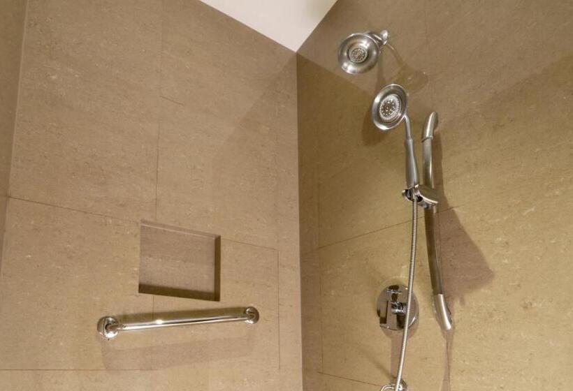 اتاق استاندارد برای معلولان, Holiday Inn Express & Suites Monterrey Valle, An Ihg