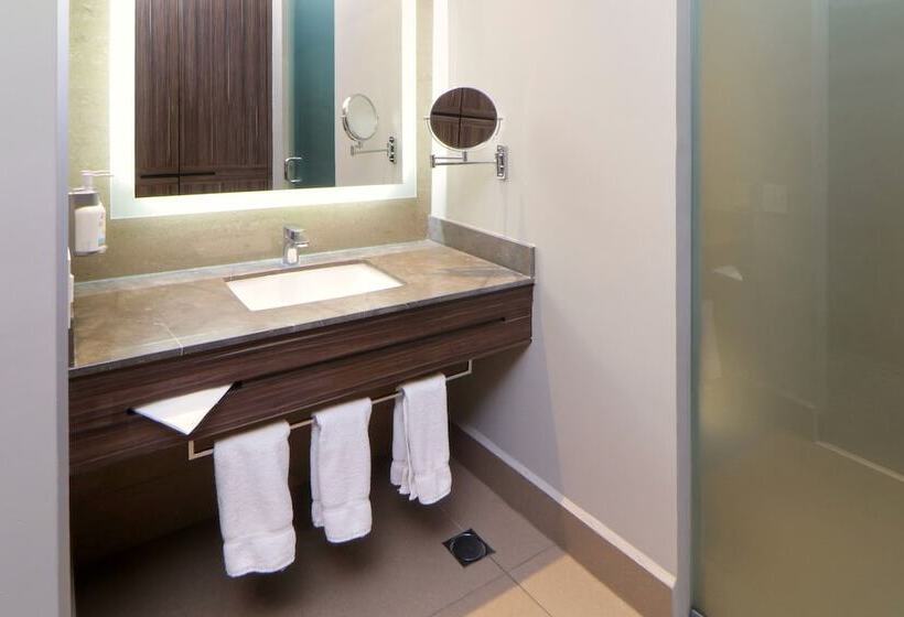 اتاق استاندارد, Holiday Inn Express & Suites Monterrey Valle, An Ihg