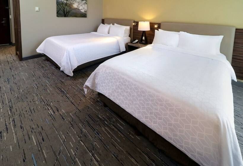 اتاق استاندارد, Holiday Inn Express & Suites Monterrey Valle, An Ihg