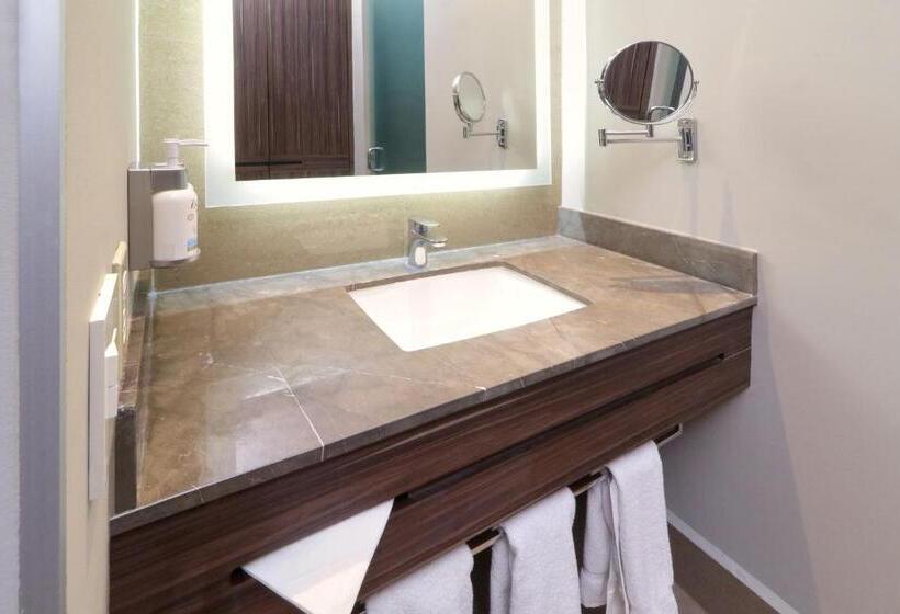 اتاق استاندارد با تخت بزرگ, Holiday Inn Express & Suites Monterrey Valle, An Ihg