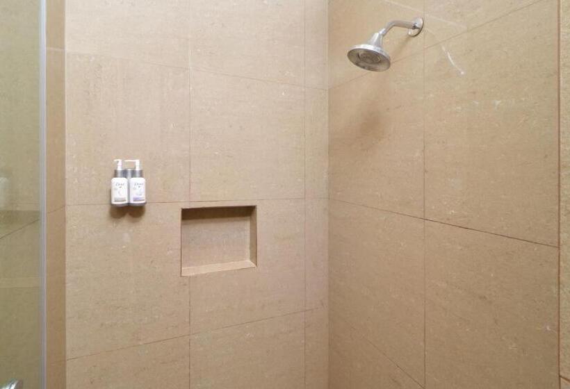 اتاق استاندارد, Holiday Inn Express & Suites Monterrey Valle, An Ihg