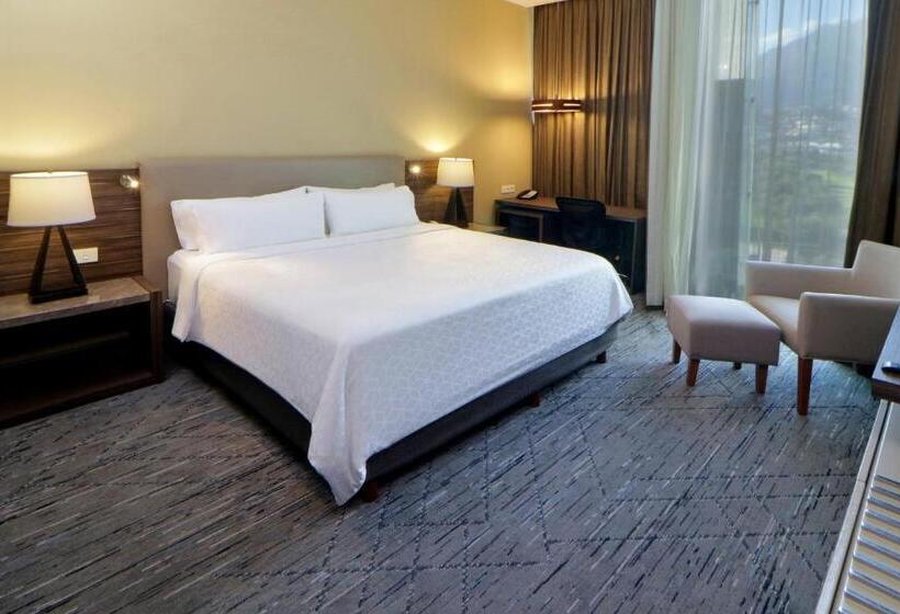 سوئیت با تخت بزرگ, Holiday Inn Express & Suites Monterrey Valle, An Ihg