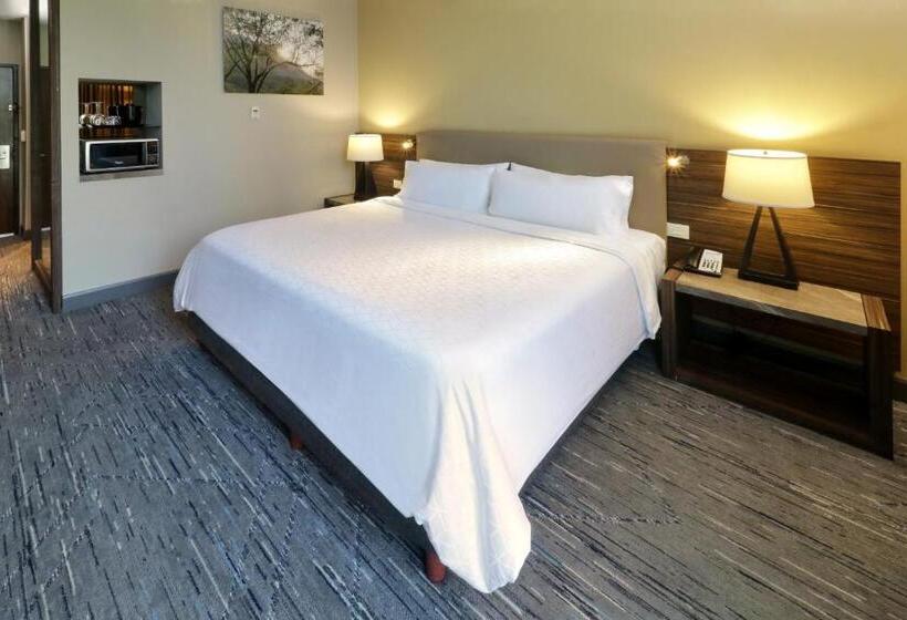 سوئیت با تخت بزرگ, Holiday Inn Express & Suites Monterrey Valle, An Ihg