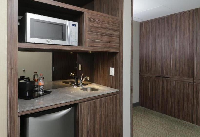 سوئیت با چشم‌انداز, Holiday Inn Express & Suites Monterrey Valle, An Ihg