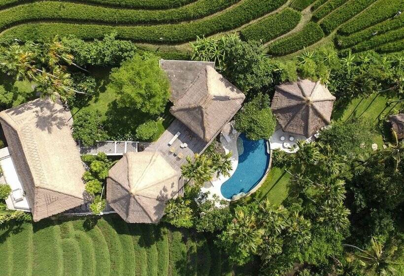 Вилла 5 Спален, Planta Boutique Resort