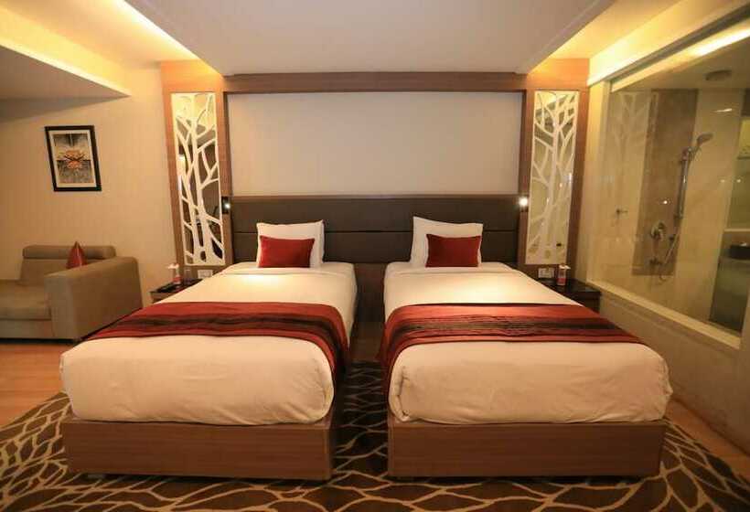 高级大房间, Radisson Udaipur