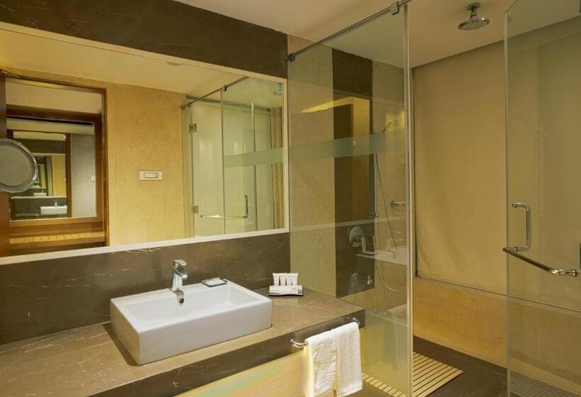 豪华房间, Radisson Udaipur