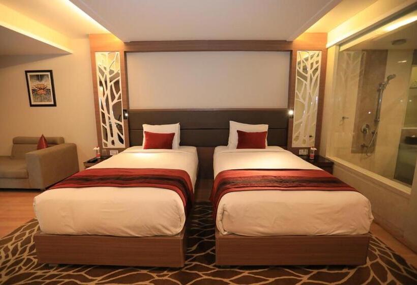 豪华房间, Radisson Udaipur
