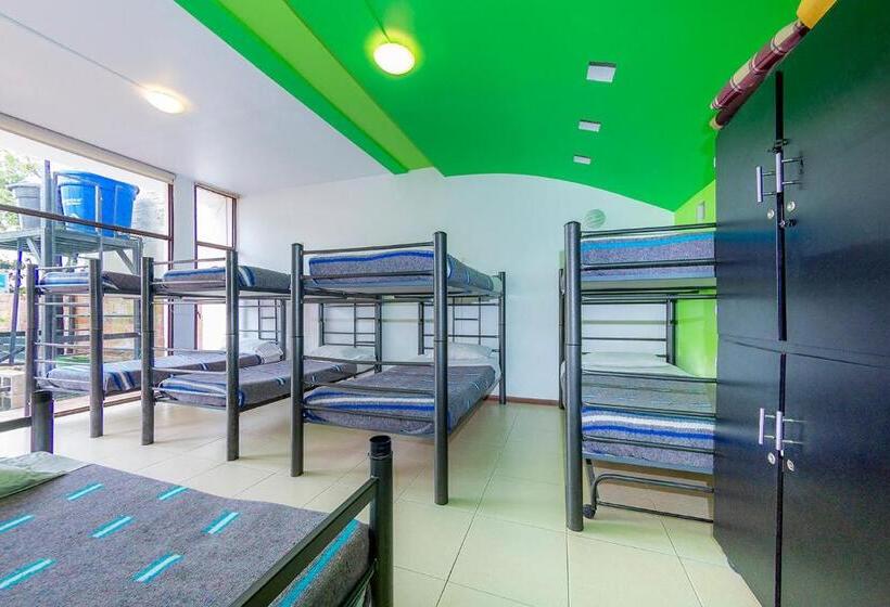 공동 객실, Ayenda Mountain Hostels Manizales