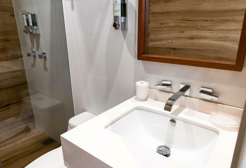 Номер Superior, Palmetto Hotel Business San Borja