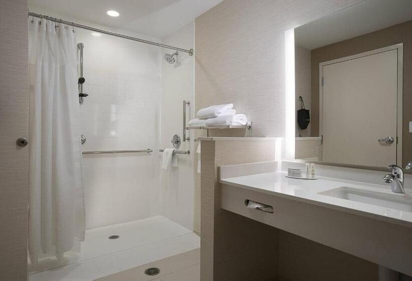 스탠다드 룸 킹사이즈 침대, Fairfield Inn & Suites By Marriott Rock Hill