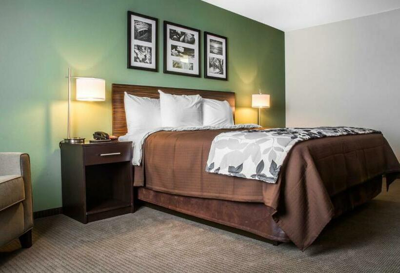 Quarto Estandar Cama King, Sleep Inn & Suites East Syracuse