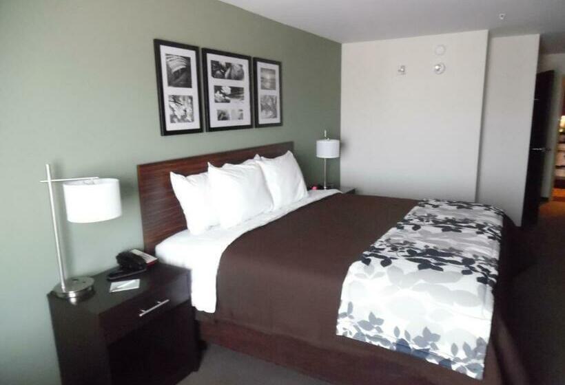 带大床的标准间, Sleep Inn & Suites East Syracuse