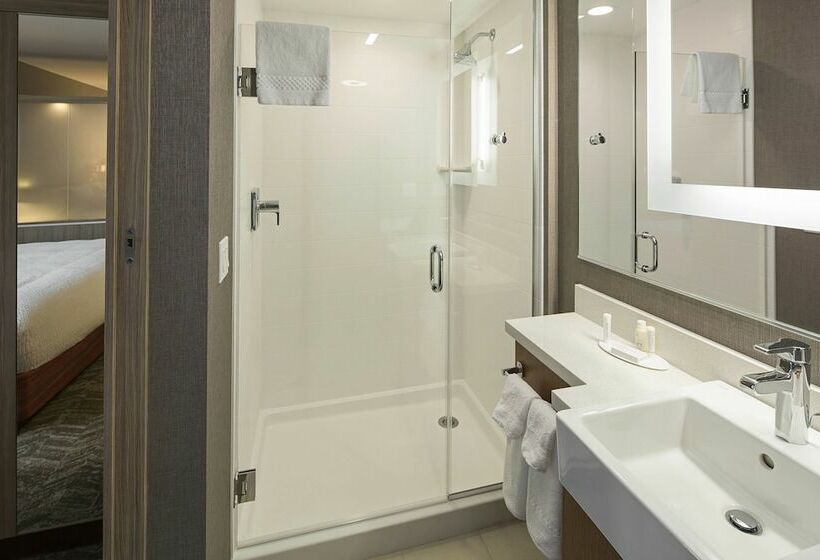 سوییت, Springhill Suites By Marriott Kalispell