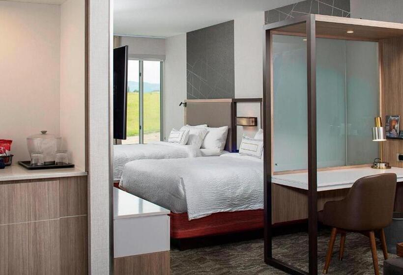 Люкс, Springhill Suites By Marriott Kalispell
