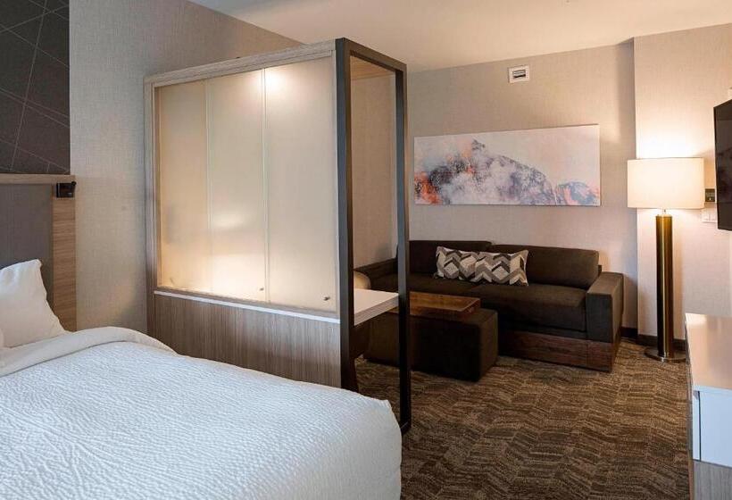 سوییت, Springhill Suites By Marriott Kalispell