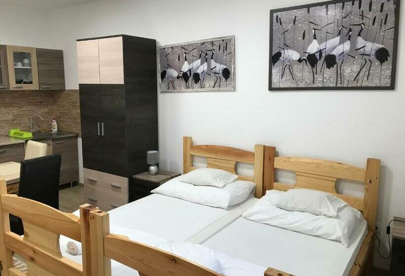 Апартаменты 1 Спальня Нижний Этаж, Tó Party Apartman