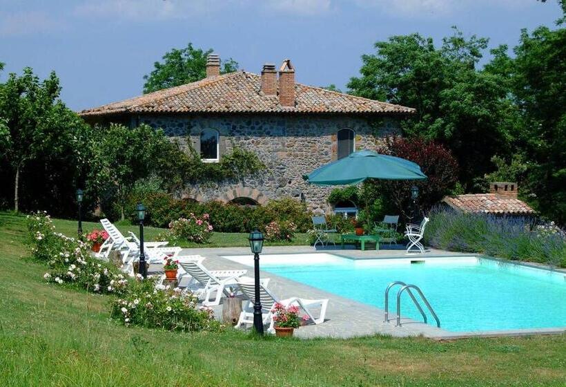 Четырехместный Номер Superior, Collina Blu