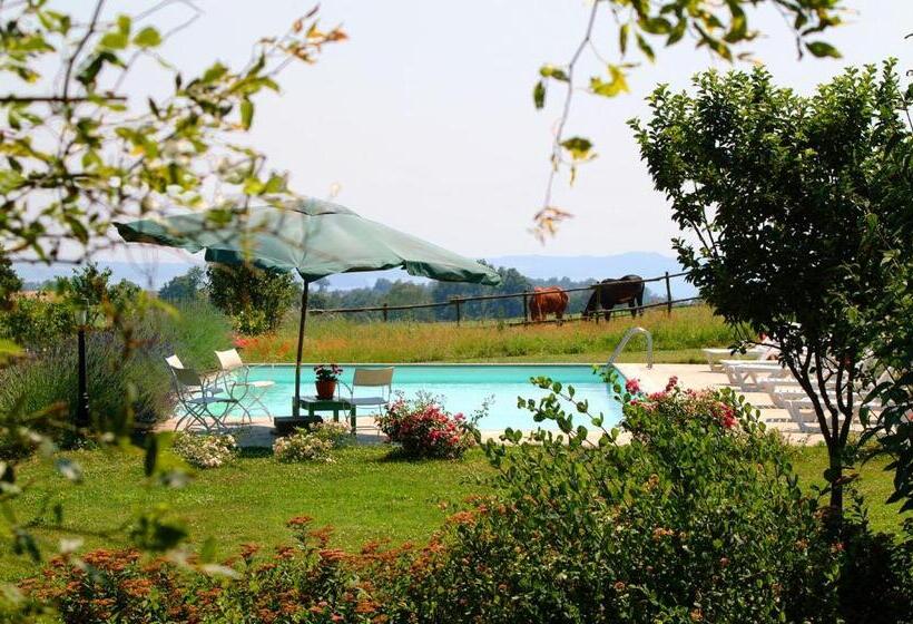 Номер Стандарт с Гидромассажем, Collina Blu