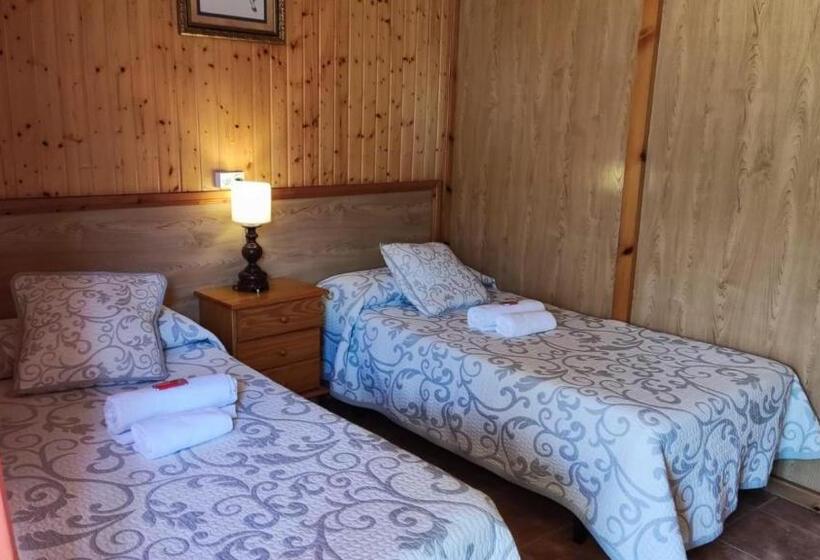 Номер Стандарт, Casa David