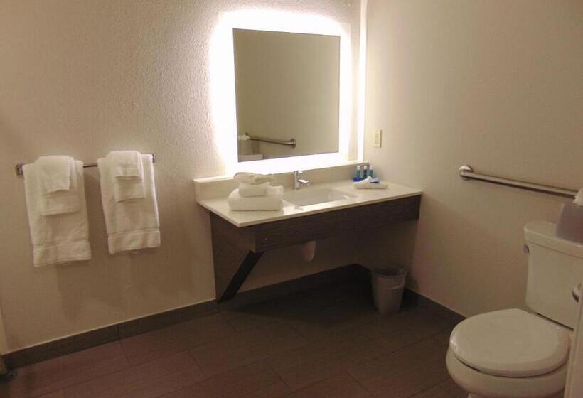 Quarto Estandar para Deficientes Físicos, Holiday Inn Express & Suites Boynton Beach East, An Ihg