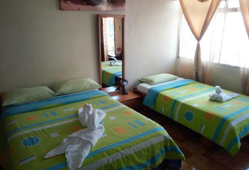 Quarto Triplo Clássico, Hostal Miconia