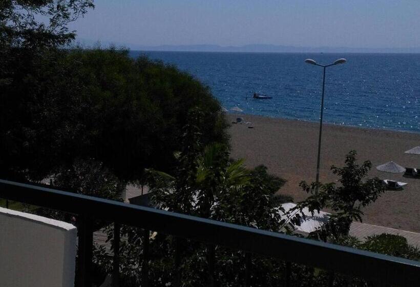 标准间, Palmiye