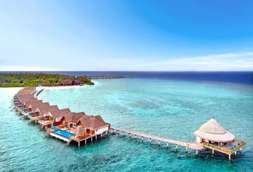 آپارتمان 2 خوابه, Furaveri Maldives