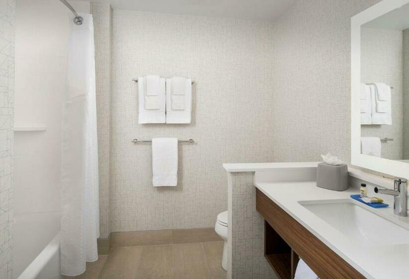 이그제큐티브 룸 킹사이즈 침대, Holiday Inn Express Atlanta Sw   Newnan, An Ihg