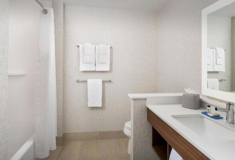 스탠다드 룸 킹사이즈 침대, Holiday Inn Express Atlanta Sw   Newnan, An Ihg