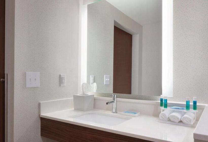 장애인을 위한 킹사이즈 침대 스탠다드 룸, Holiday Inn Express Atlanta Sw   Newnan, An Ihg